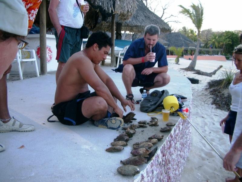 Casa Del Sol Bed And Breakfast Contadora Island エクステリア 写真